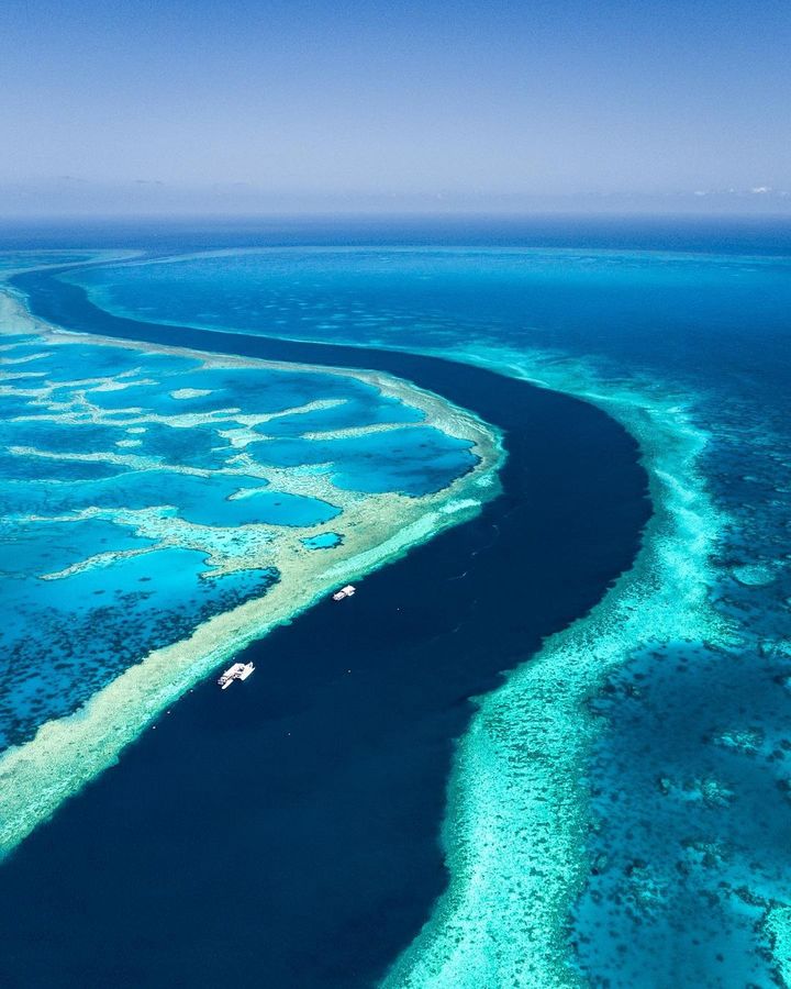 See the reef, love the reef, protect the reef - czyli zobacz, kochaj i chroń Wielką Rafę Koralow