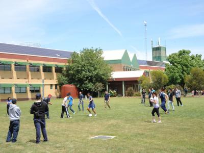 Bachelor of Agriculture and  Technology - Agronomy
