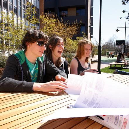 Graduate Certificate of Information Technology Research