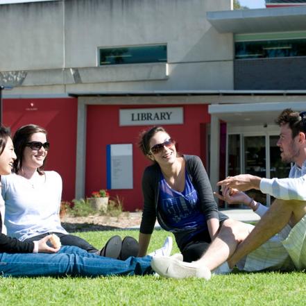 Bachelor of Commerce and Bachelor of Global Studies