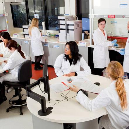 Bachelor of Computer Science Advanced (Honours)